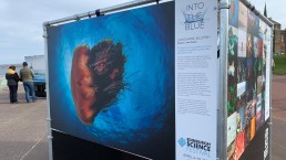 Edinburgh outdoor exhibition print