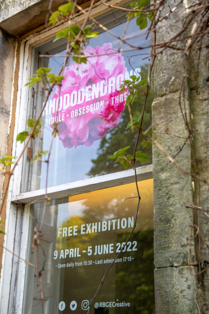 window signs edinburgh